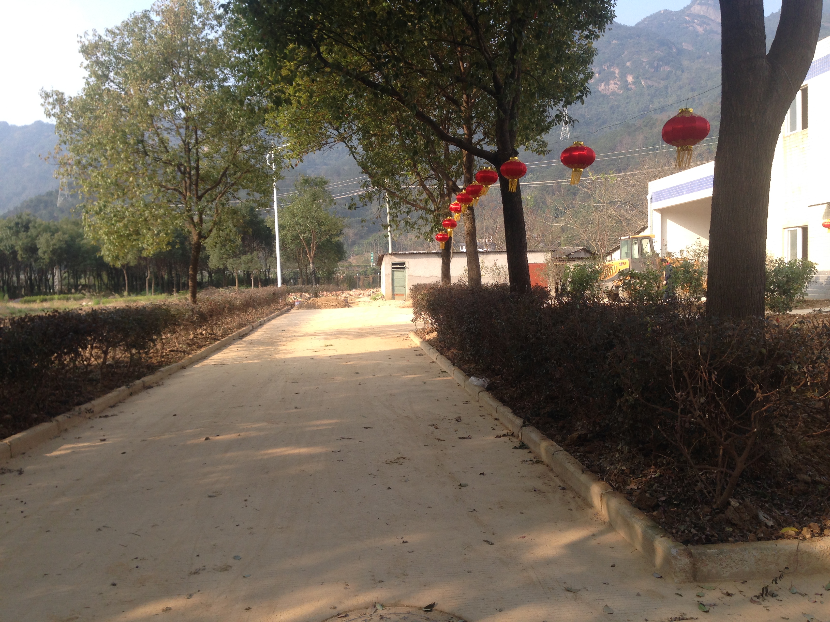 2.綠化后的板框道路，環境優美.JPG