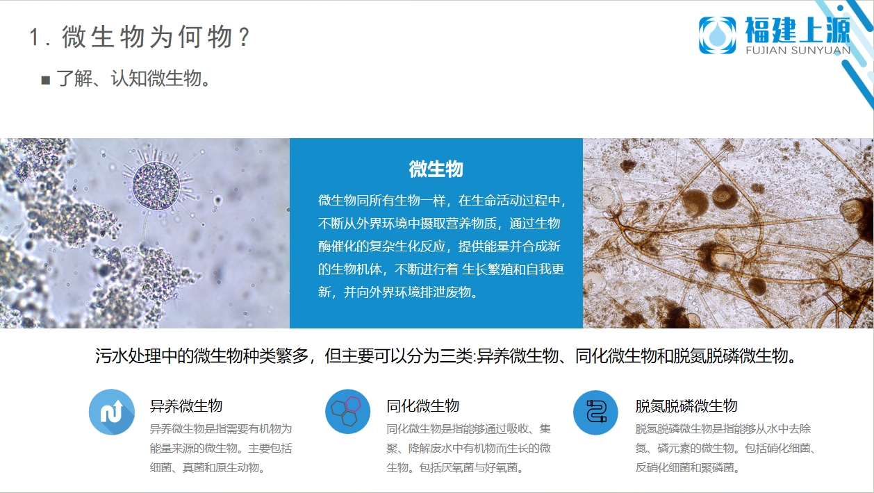 微信截圖_20241230101923.png