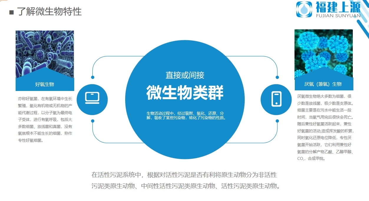 微信截圖_20241230102546.png
